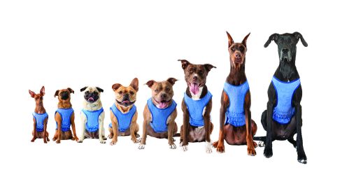 GF Pet Elasto-Fit Ice Vest - Blue (size: 4XL)